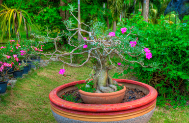 Similar image 2891670