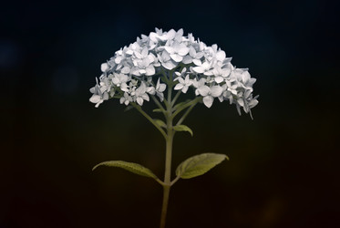 Similar image 2891751