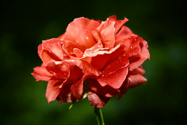 Similar image 2891753