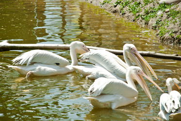 Similar image 2891761