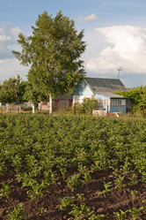 Similar image 2892026