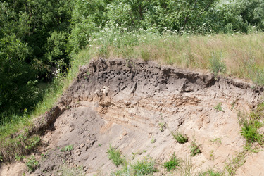 Similar image 2892028