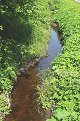 Similar image 2892032