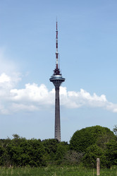 Similar image 2892034