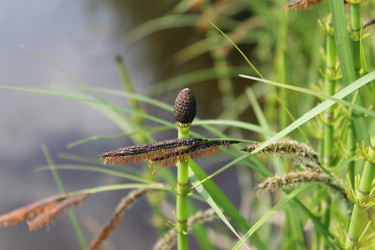 Similar image 2892035