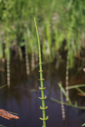 Similar image 2892037