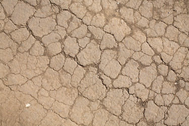 Similar image 2892040