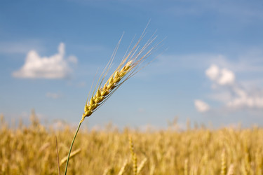 Similar image 2892042