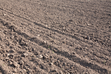 Similar image 2892043