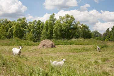 Similar image 2892048