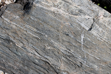 Similar image 2892052