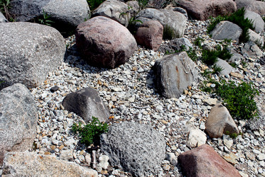 Similar image 2892054