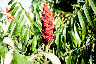 Similar image 2892126