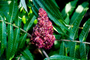 Similar image 2892127