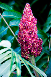 Similar image 2892128