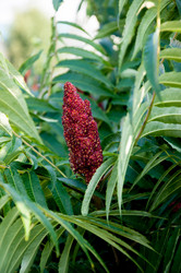 Similar image 2892146