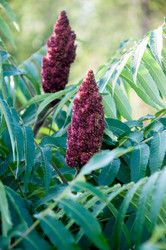 Similar image 2892147