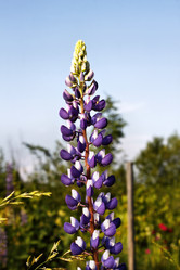 Similar image 2892158