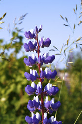 Similar image 2892159