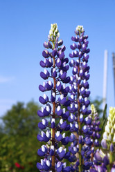 Similar image 2892160