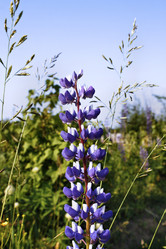 Similar image 2892162