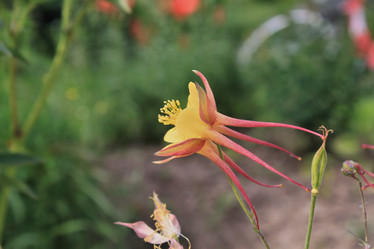 Similar image 2892163