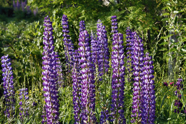 Similar image 2892164