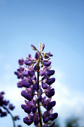 Similar image 2892165