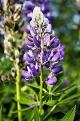 Similar image 2892166