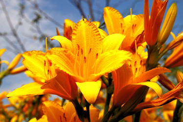 Similar image 2892170