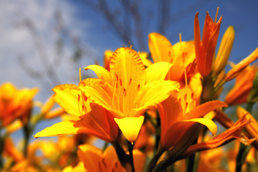 Similar image 2892171