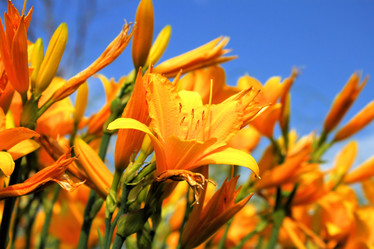 Similar image 2892172