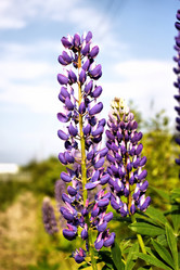 Similar image 2892174