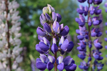 Similar image 2892178