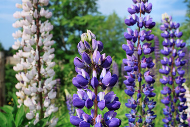 Similar image 2892179