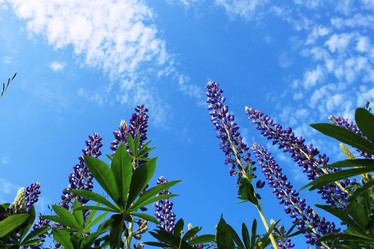 Similar image 2892182