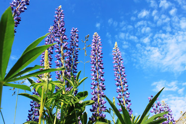 Similar image 2892184