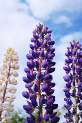 Similar image 2892185