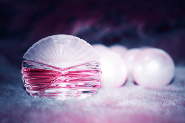 Similar image 2892199