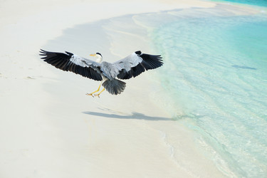 Similar image 2892305