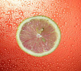 Similar image 2892641