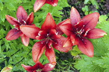 Similar image 2893174