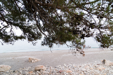 Similar image 2893974