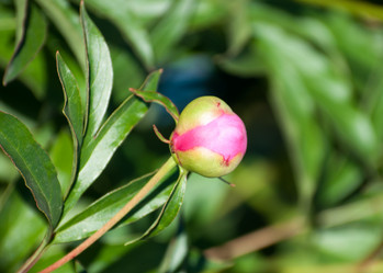 Similar image 2893992