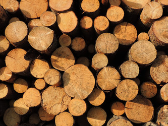 Similar image 2893996