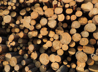 Similar image 2893998