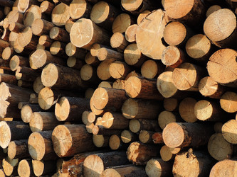 Similar image 2893999