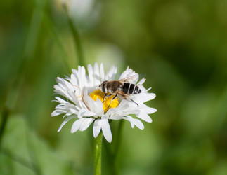 Similar image 2894052