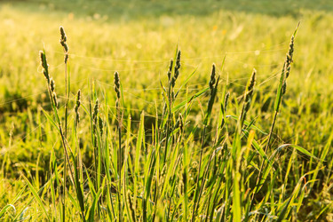 Similar image 2894077