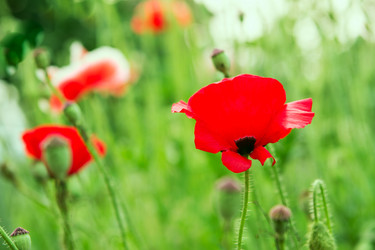 Similar image 2894098